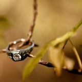 Eli and Amanda-2908
