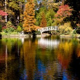 Durham Portfolio_proofs-5720