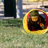 Isaac's second birthday-2591