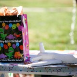 Isaac's second birthday-2607