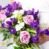 Iris_proofs-9283